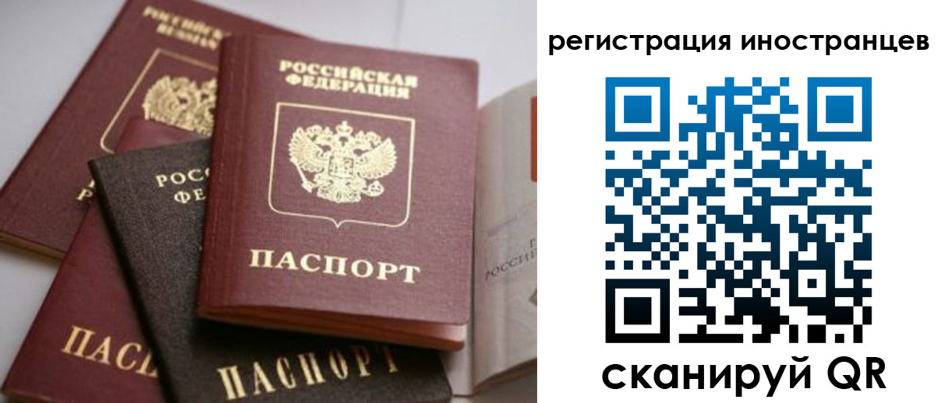 форма 3 в Вязьме